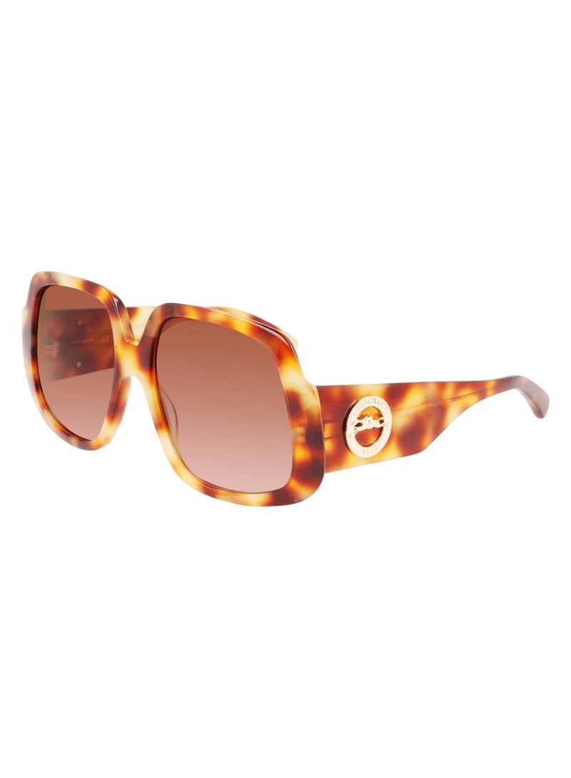 Women's UV Protection Square Shape Acetate Sunglasses LO709S-217-5917 - Lens Size: 59 - Light Havana
