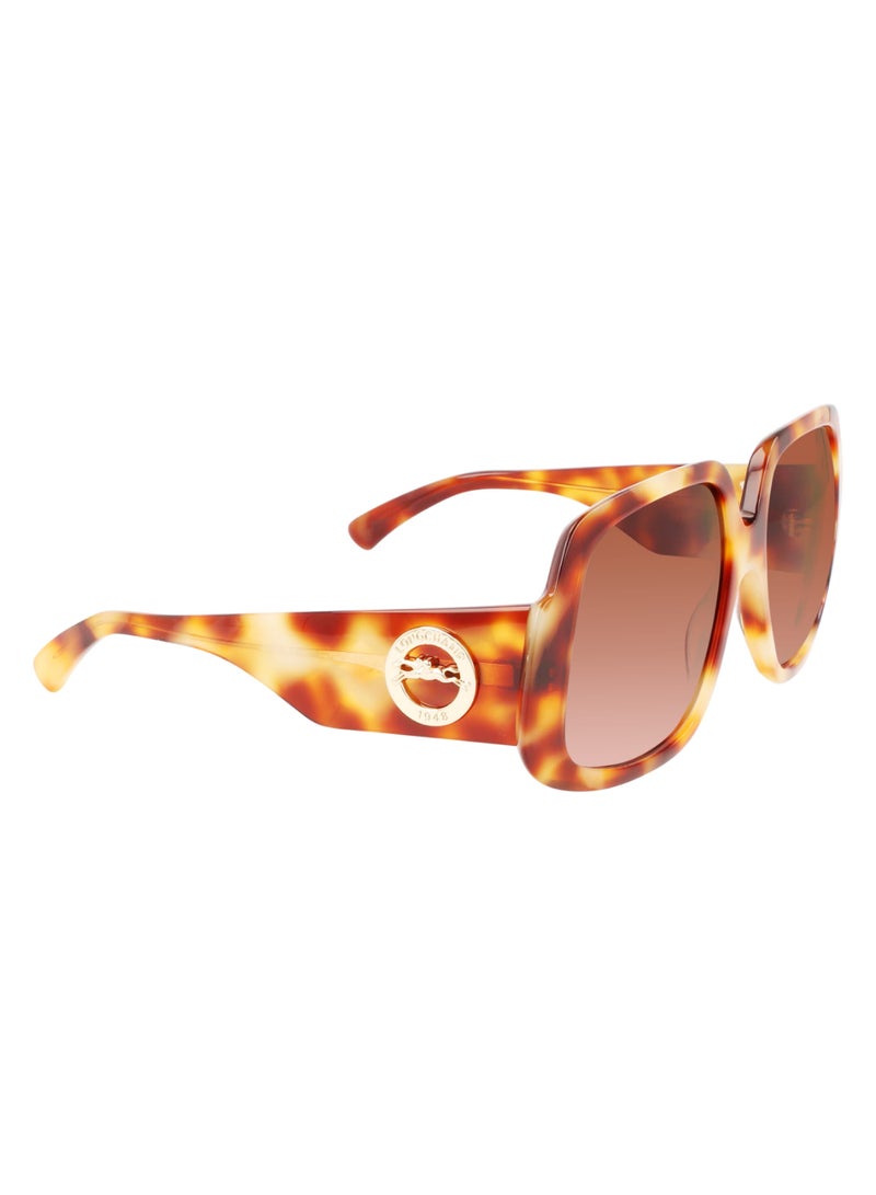 Women's UV Protection Square Shape Acetate Sunglasses LO709S-217-5917 - Lens Size: 59 - Light Havana