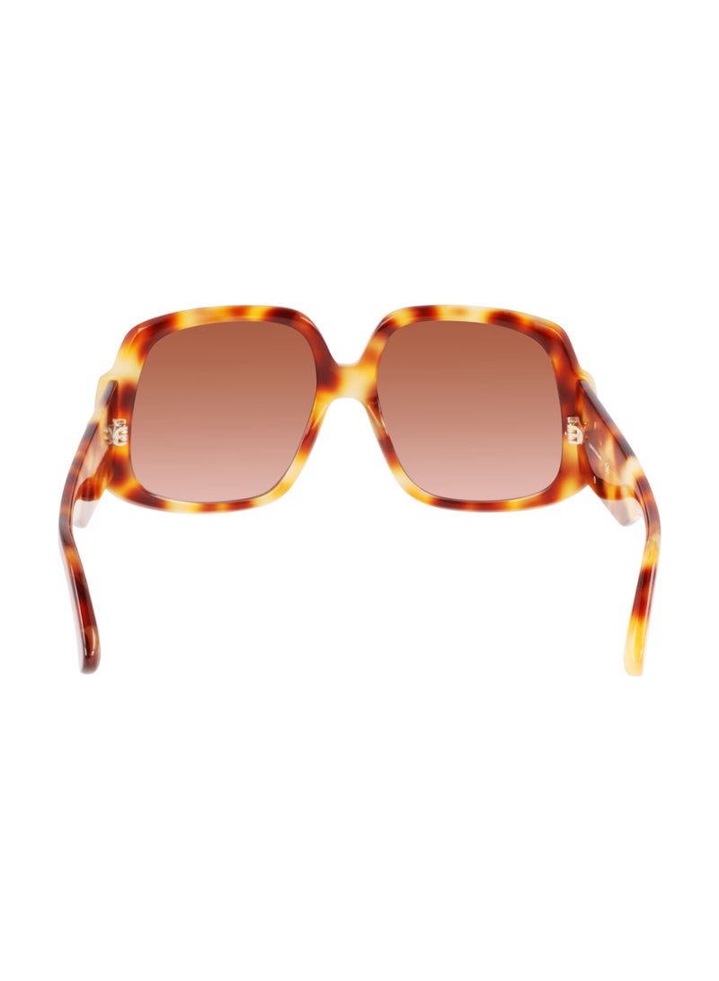 Women's UV Protection Square Shape Acetate Sunglasses LO709S-217-5917 - Lens Size: 59 - Light Havana