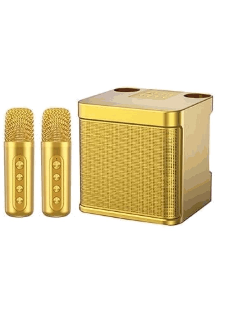 YS 203 Portable Wireless Bluetooth Karaoke Speaker With Dual Microphone Golden