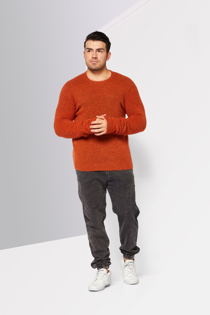 Men Crew Neck Long Sleeve Knitted Sweater, Brown