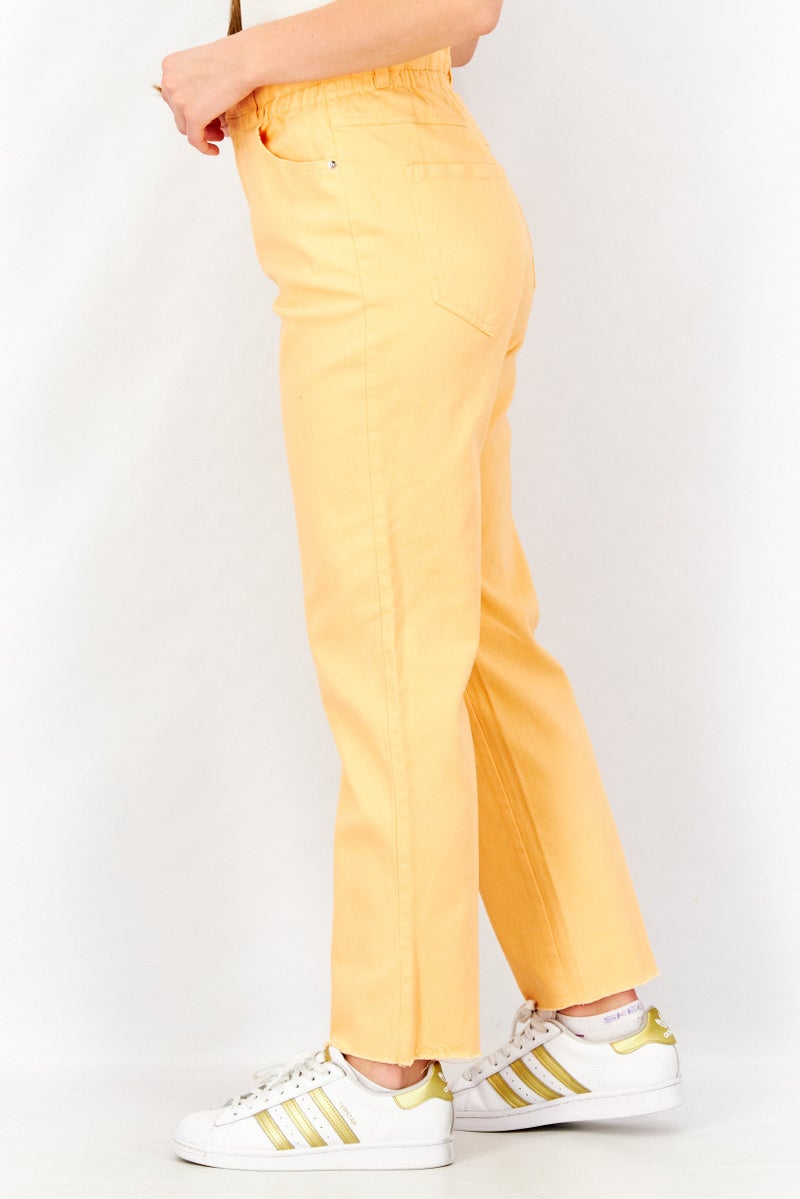 Women Regular Fit Solid Stretchable Pants, Orange