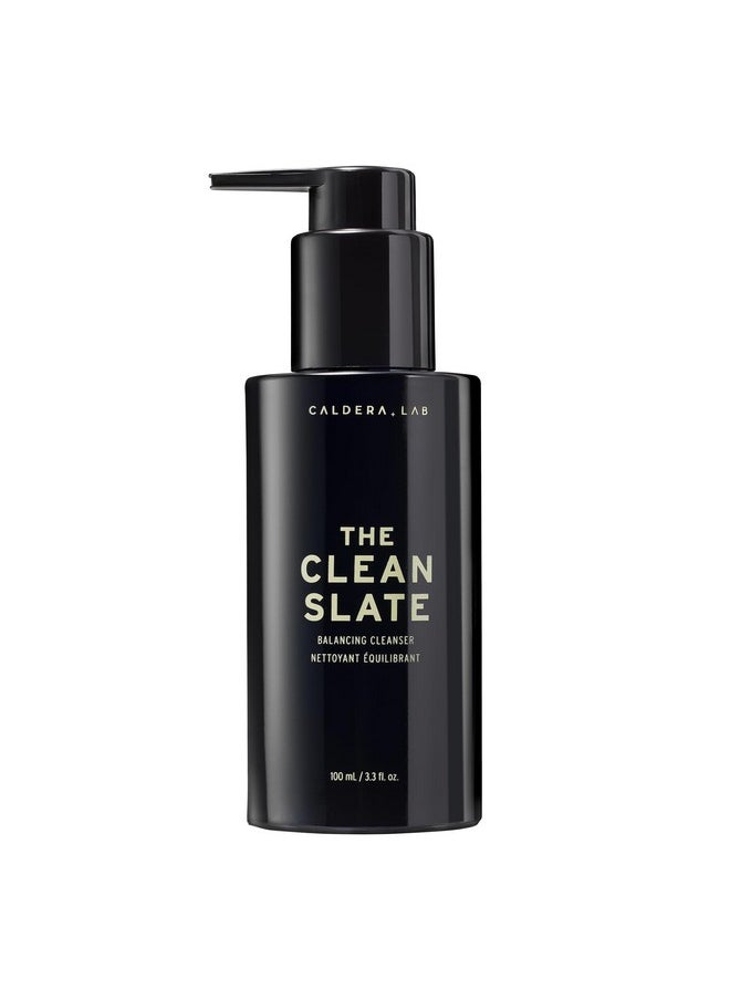 The Clean Slate | Men'S Organic Foaming Facial Cleanser For Dry, Sensitive, & Normal Skin - Vegan, Natural & Antioxidant Packed Exfoliating Face Wash