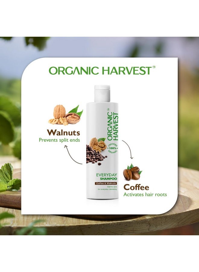 Everyday Shampoo: Coffee & Walnuts | For Dry & Frizzy Hair | Anti-Hairfall Shampoo For Men & Women | 100% American Certified Organic | Sulphate And Paraben-Free - 250Ml