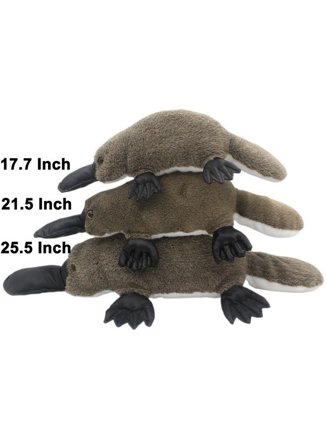 Vivid Stuffed Animals Pillows Realistic The Platypus Lifelike Plush Toys Duckbill (21.5 Inch)