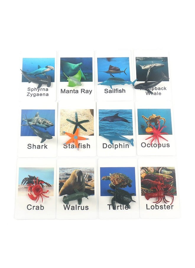 Montessori Animal Match Game Cards Marine Animal Matching Montessori Language Materials Toddlers Preschool Educational Learning Toys Newt011