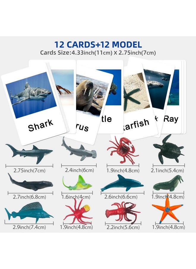 Montessori Animal Match Game Cards Marine Animal Matching Montessori Language Materials Toddlers Preschool Educational Learning Toys Newt011