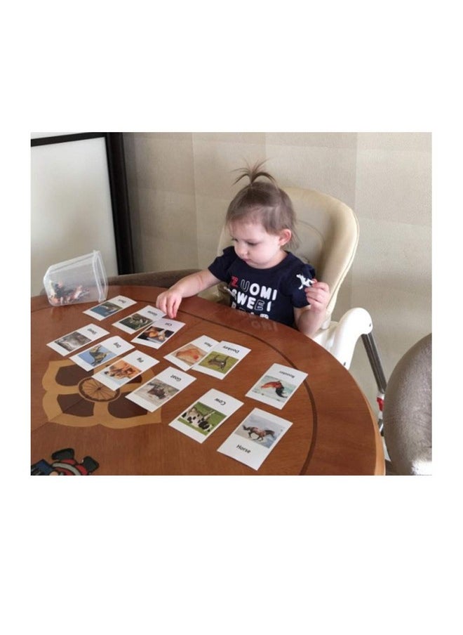 Montessori Animal Match Game Cards Marine Animal Matching Montessori Language Materials Toddlers Preschool Educational Learning Toys Newt011