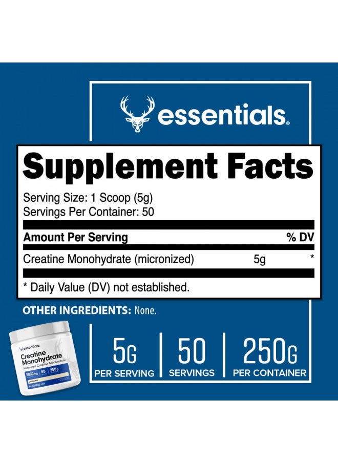 Bucked Up Creatine Monohydrate 250 Grams Micronized Powder, Essentials (50 Servings)