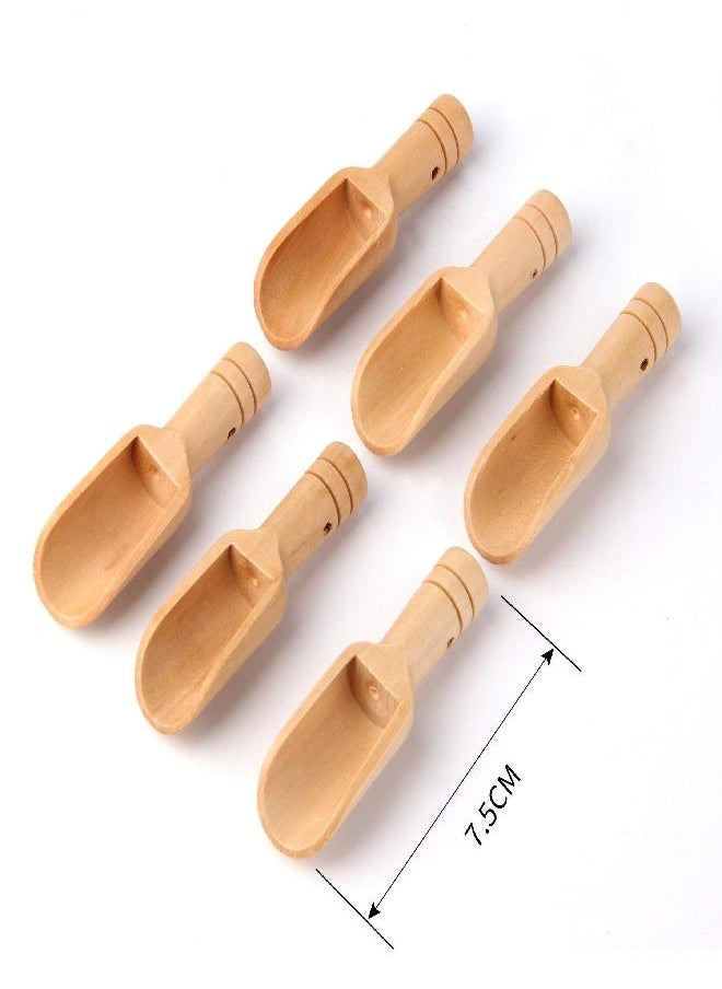 sansheng Small Wooden Scoops, Little Wooden Spoons for Jars/Bath Salts(12PCS)3 inches long