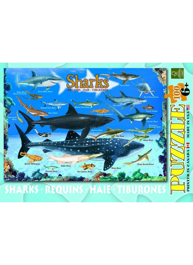 Sharks 100 Piece Jigsaw Puzzle