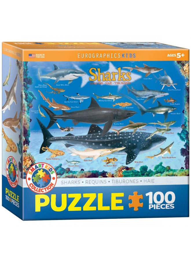 Sharks 100 Piece Jigsaw Puzzle