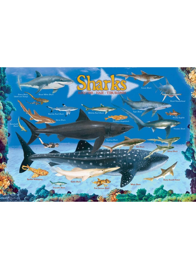 Sharks 100 Piece Jigsaw Puzzle