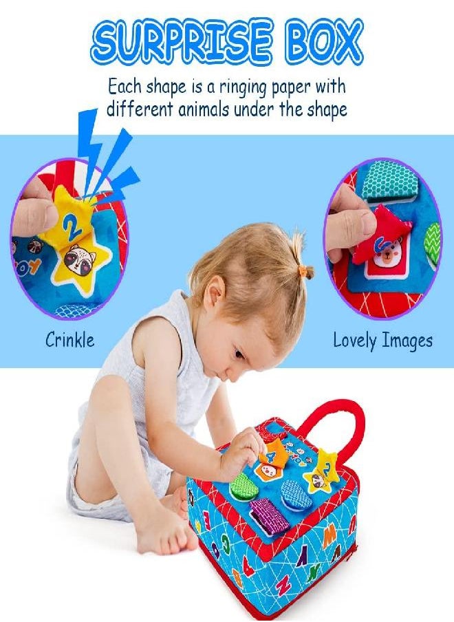 teytoy Shape Sorter Toys with 2-Sided Activity Bag and 8 Textured Shape Blocks Develop Sensory Fine Motor Skills Game Child Development Preschool Baby Toy for 6-12 Months and Older