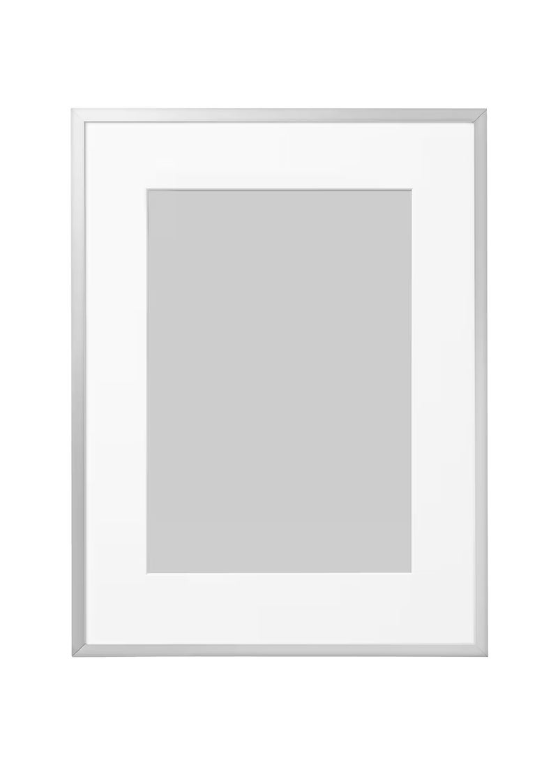 Picture Frame Aluminium Plastic & Fibreboard 30x40 cm