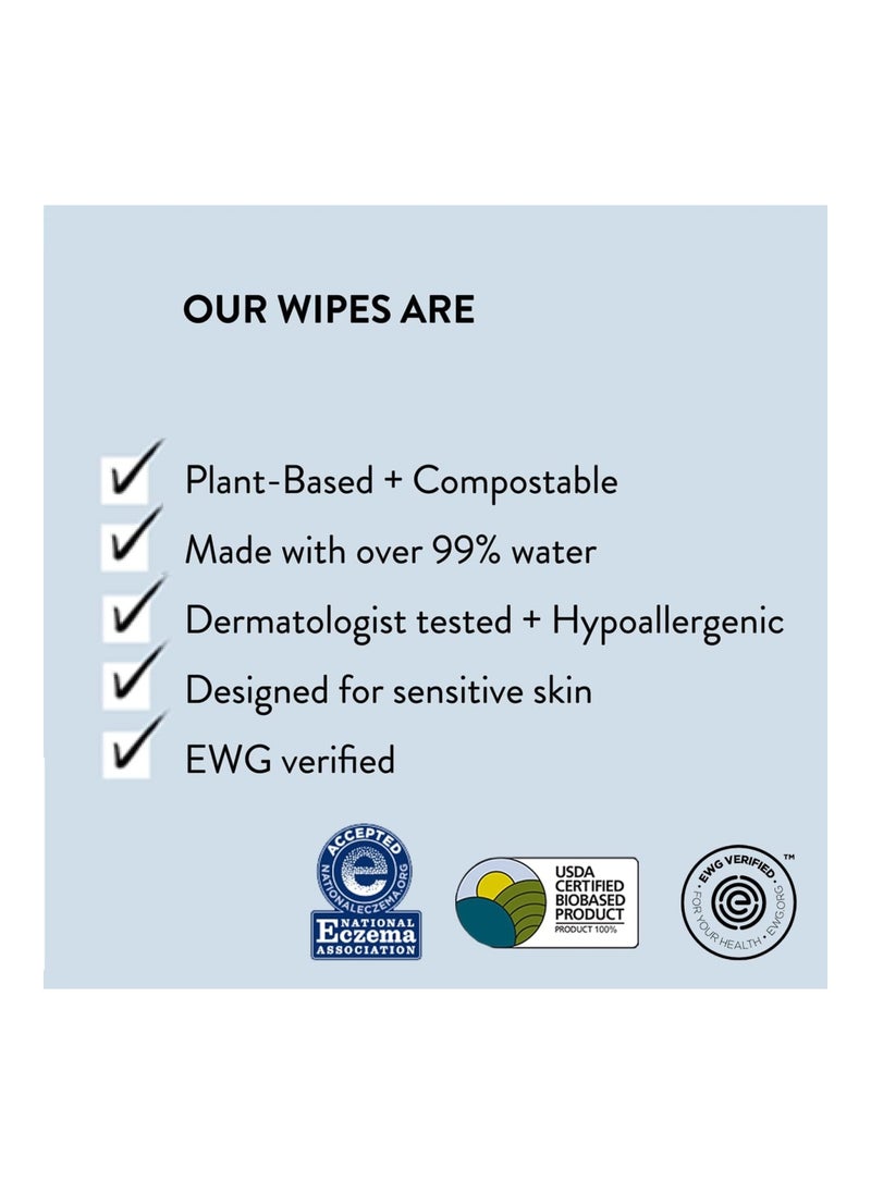 The Company Clean Conscious Wipes, 100% Plant-Based, 99% Water, Baby Wipes, Hypoallergenic, Dermatologist Tested, Blue Ikat, 576 Count