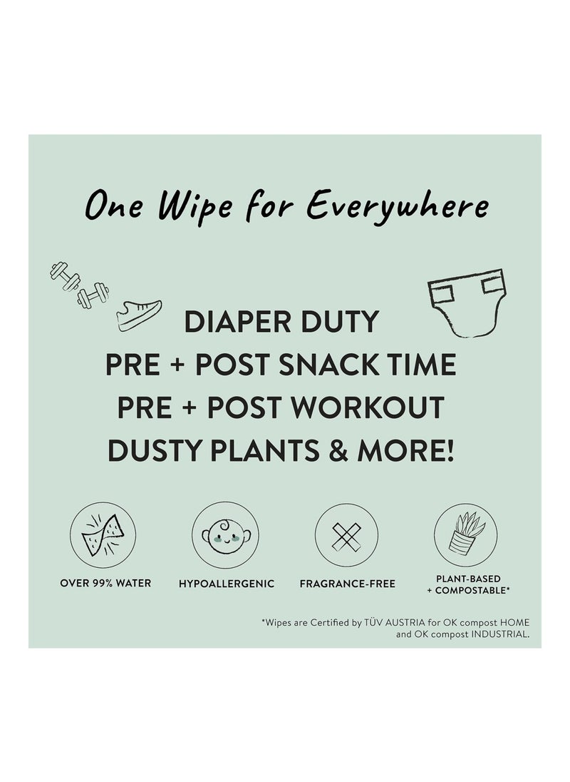 The Company Clean Conscious Wipes, 100% Plant-Based, 99% Water, Baby Wipes, Hypoallergenic, Dermatologist Tested, Blue Ikat, 576 Count