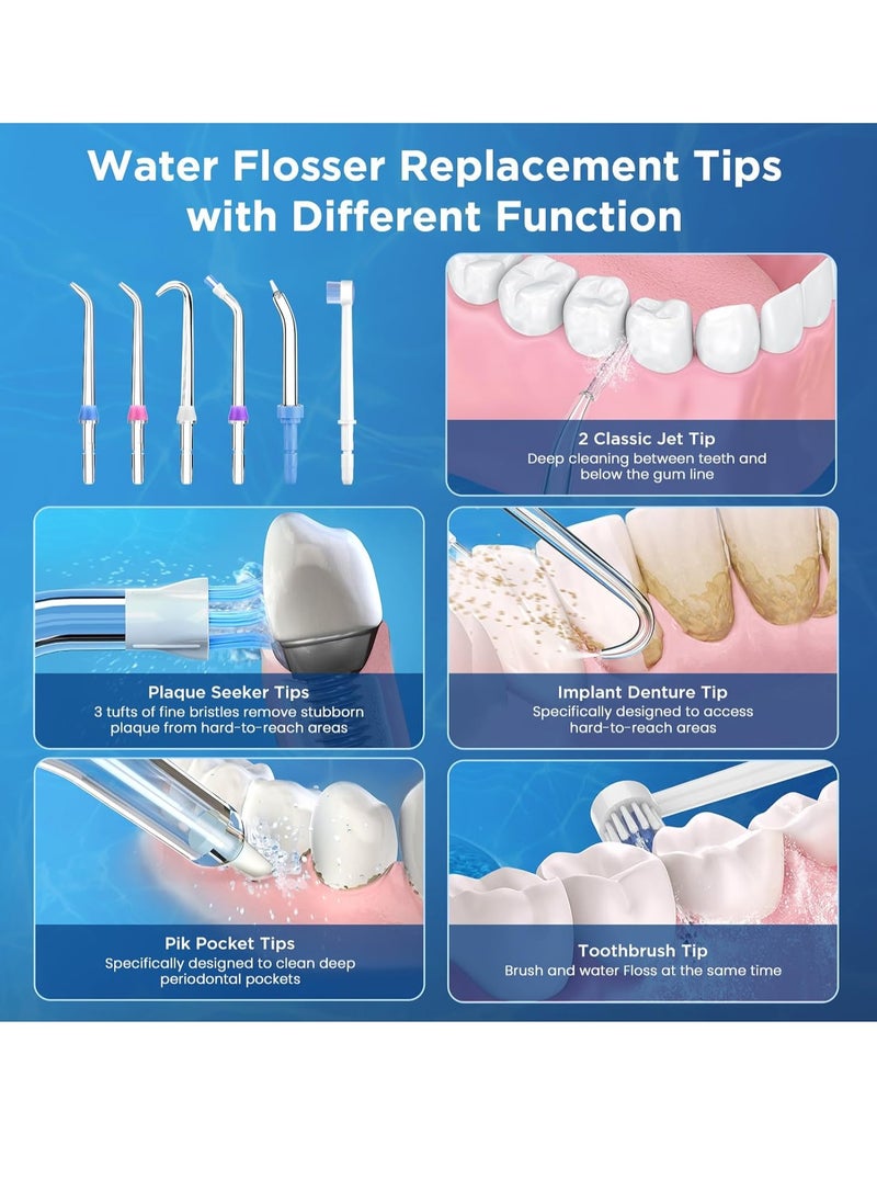 Replacement Tips for Waterpik, Water Flosser Replacement Heads Parts for Waterpik Oral Irrigator (6 Tips Different & Storage Case Bundle)