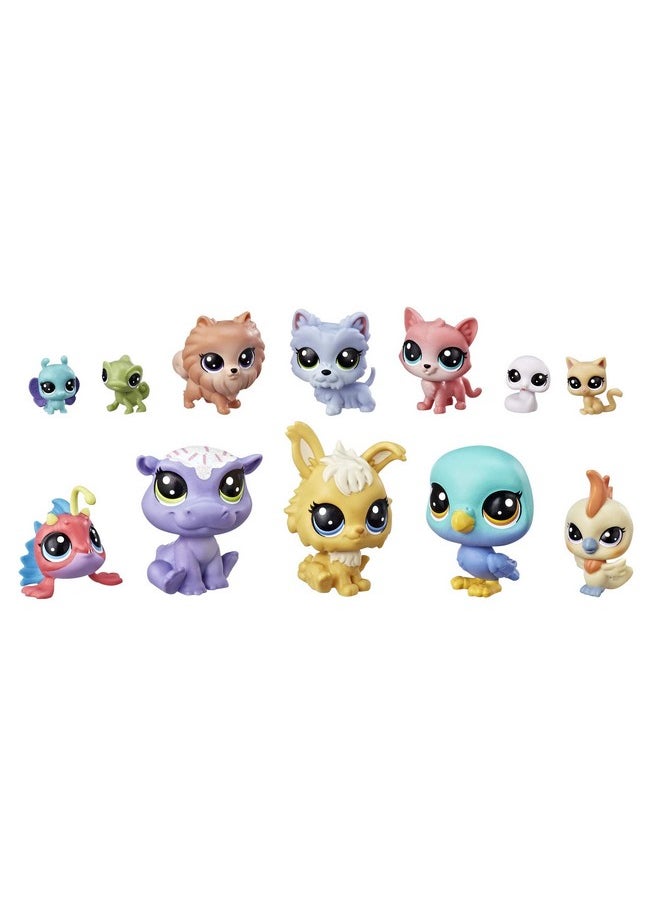 E5161 Lucky Dozen Cupcakes Set