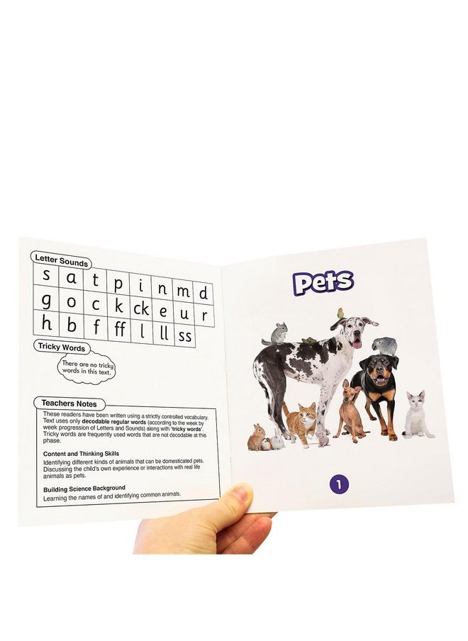Science Decodables Phase 2 Non-Fiction, Multicolor