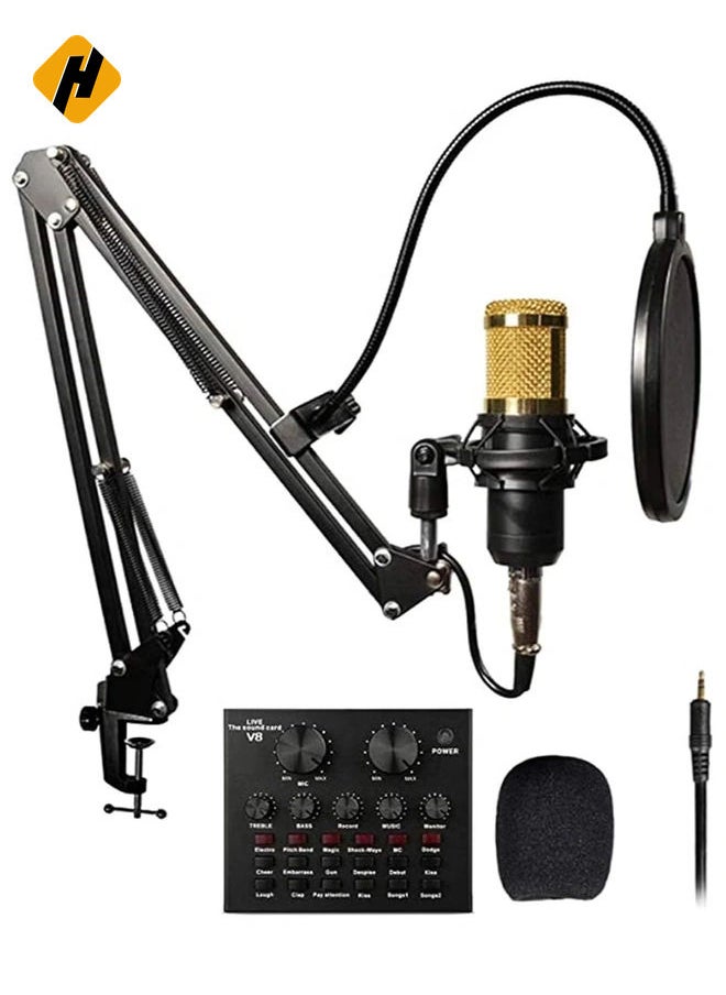 Adjustable Recording Condenser Microphone with Kit