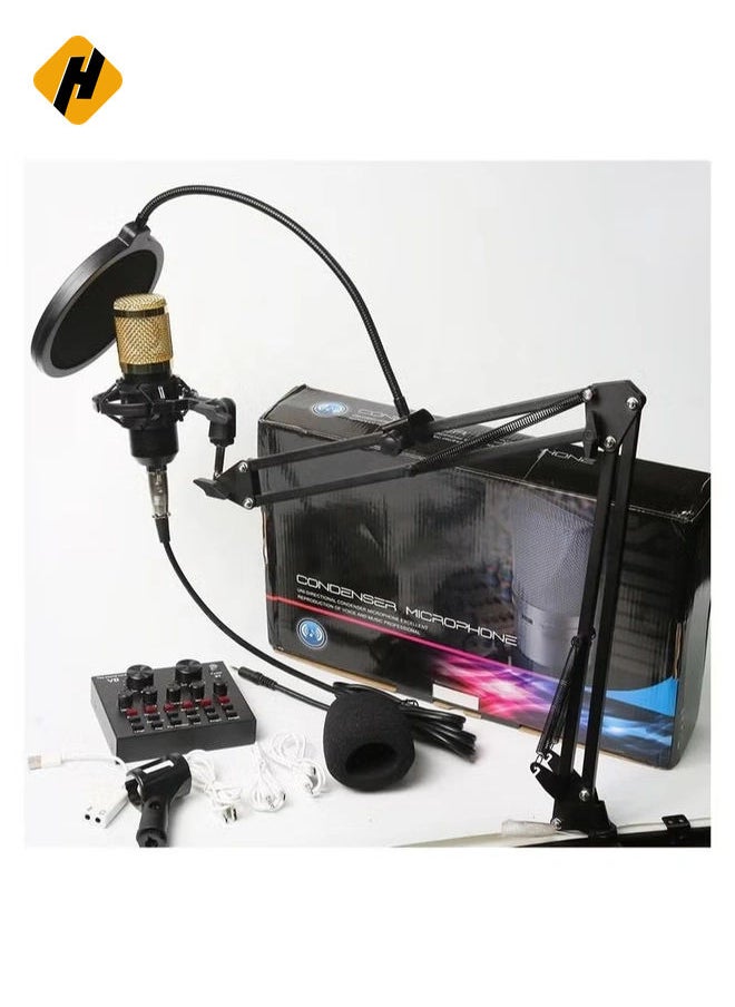 Adjustable Recording Condenser Microphone with Kit