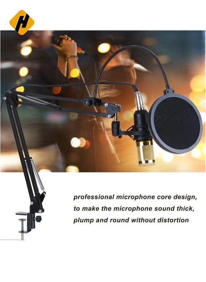 Multifunctional Live Sound Card & BM800 Suspension Microphone Kit Broadcasting Recording Condenser Microphone Set Intelligent Volume Adjustable Audio Mixer Sound Card for Computer PC Live S