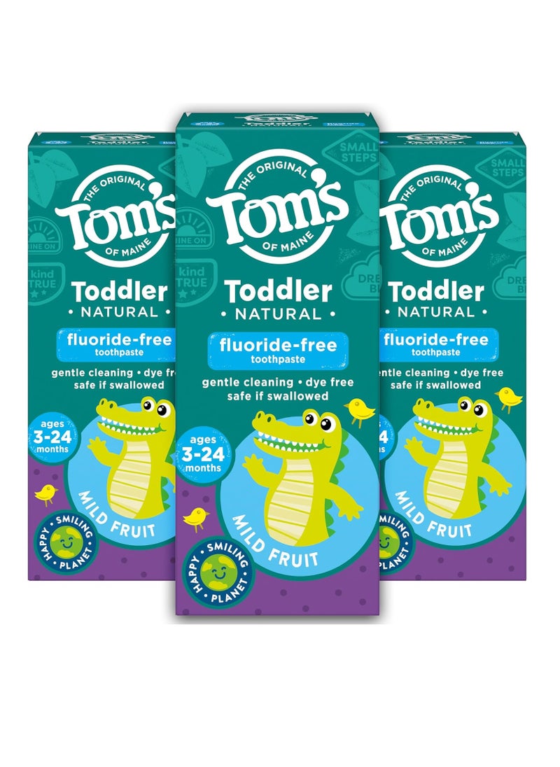 Tom's of Maine Fluoride-Free Toddler Training Toothpaste, Mild Fruit, 1.75 oz. 3-Pack (Packaging May Vary)