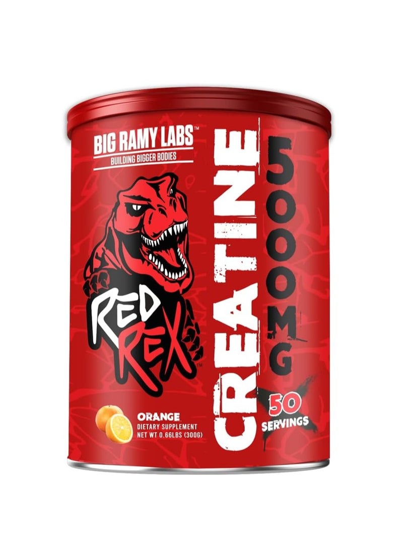 RR Creatine 500mg Orange 300gm 50 Servings