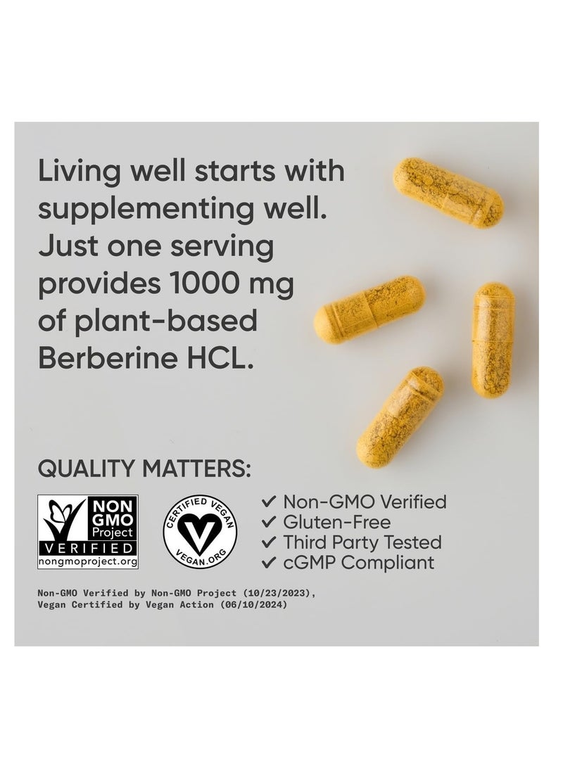 SR Berberine Plant Based 500mg per Serving 120 veggie capsules
