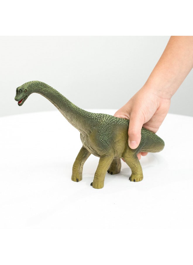 Schleich Dinosaurs, Dinosaur Toy, Dinosaur Toys for Boys and Girls 4-12 Years Old, Brachiosaurus , Green