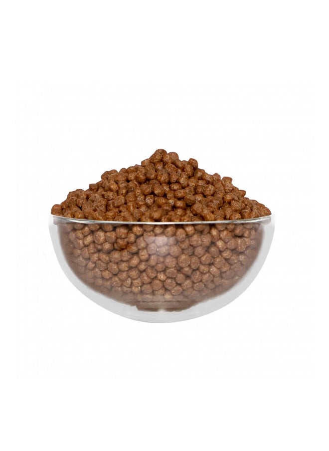 No Grain Chicken And Salmon Cat Food - 1KG