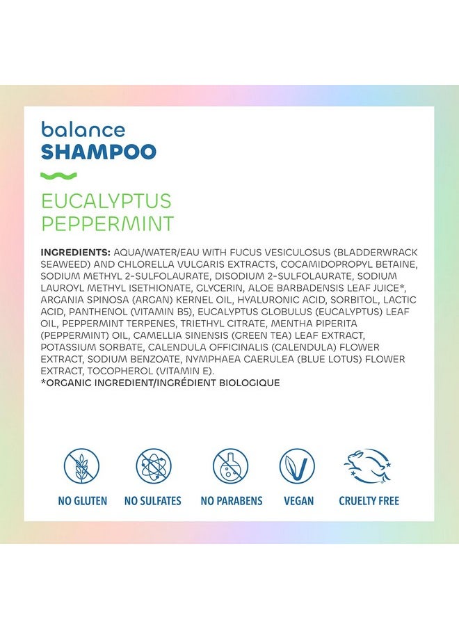 Seaweed Bath Co. Balance Shampoo, Eucalyptus Peppermint Scent, 12 Ounce, Sustainably Harvested Seaweed, Pro Vitamin B5, For Normal To Oily Hair