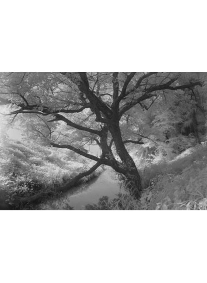 Hoya 67mm Infrared R72 Filter (Y1IR72067)