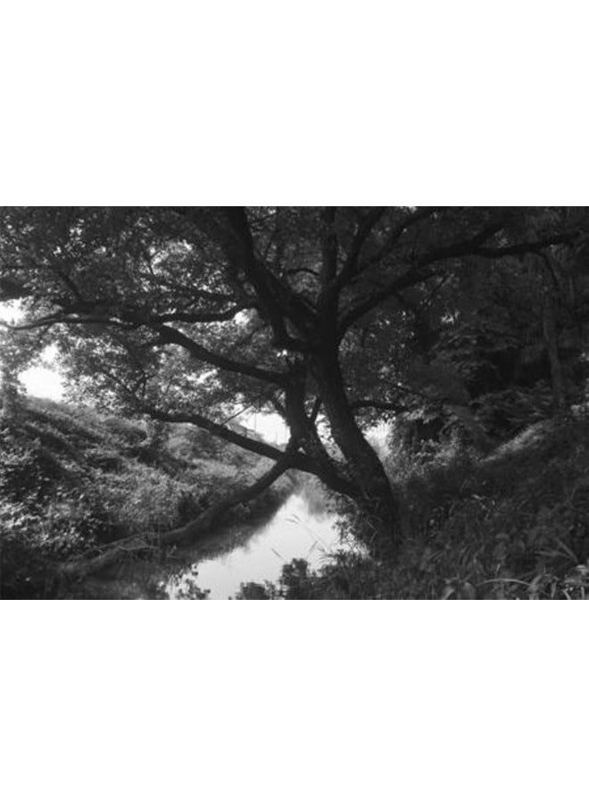 Hoya 67mm Infrared R72 Filter (Y1IR72067)