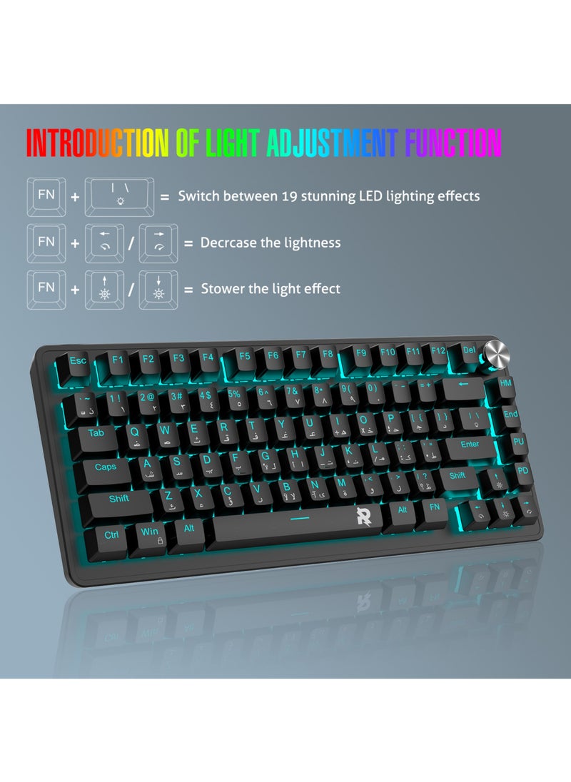 75% Gaming Keyboard Arabic English 82 Keys Mechanical Keyboard with Ice Blue Backlit 19 Modes Hot Swap Wired Mini Keyboard PBT Keycaps for PC Gaming and Working (Red Switch)