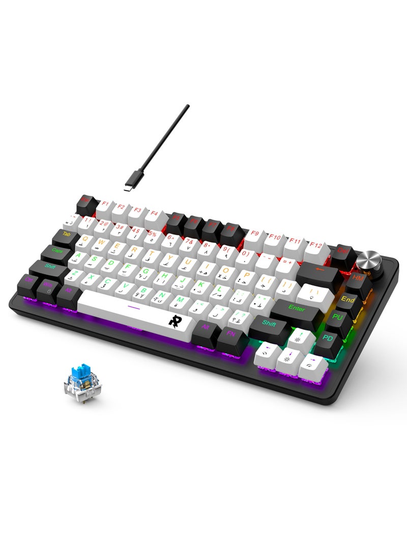 Keys Mechanical Keyboard with RGB Backlit 19 Modes Hot Swap Wired Mini Keyboard PBT Keycaps for PC Gaming and Working (Blue Switch)