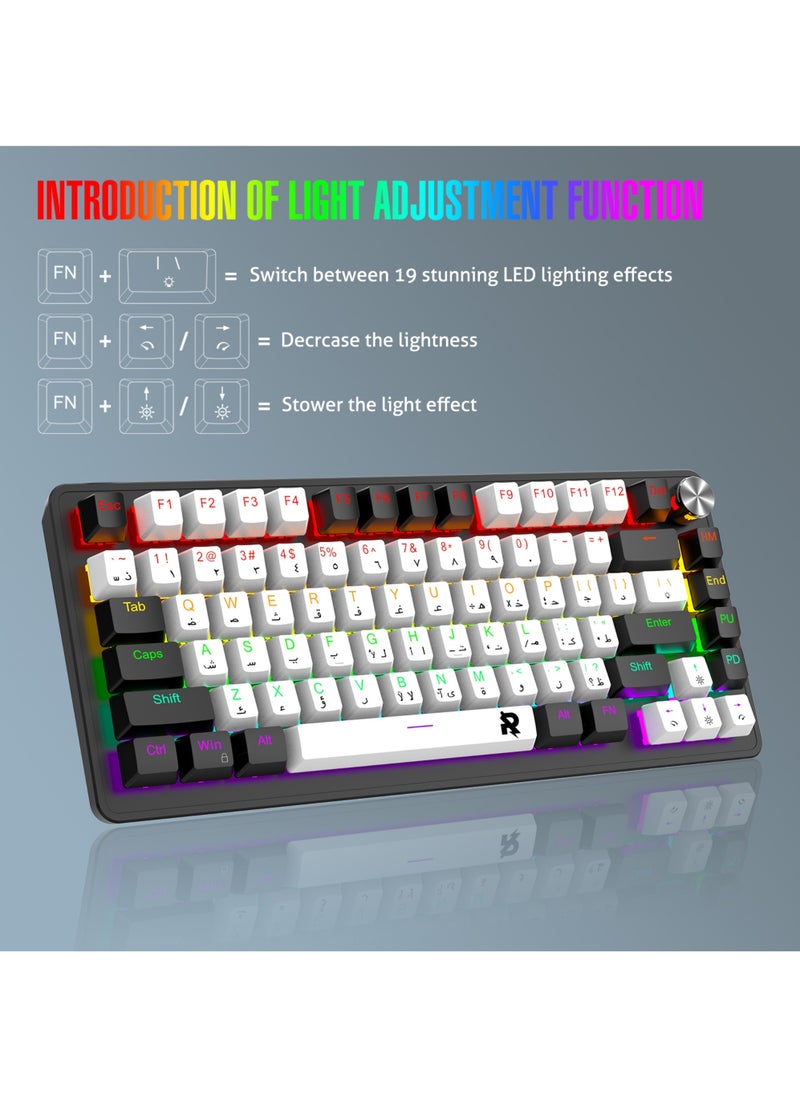 75% Gaming Keyboard Arabic English 82 Keys Mechanical Keyboard with RGB Backlit 19 Modes Hot Swap Wired Mini Keyboard PBT Keycaps for PC Gaming and Working (Blue Switch)