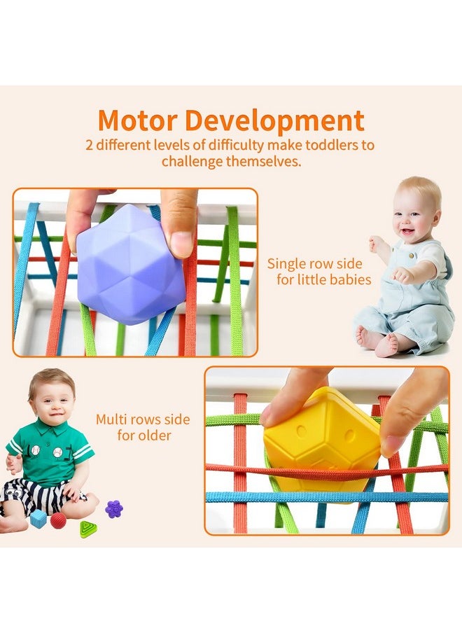 Montessori Baby Toys For 1 Year Old Boy Girl Gifts, Shape Sorter Baby Toys 6 12 18 Months Early Learning Sensory Bin With 3 Soft Textured Balls, Toddlers Toy For Age 1 2 3 Autistic Children