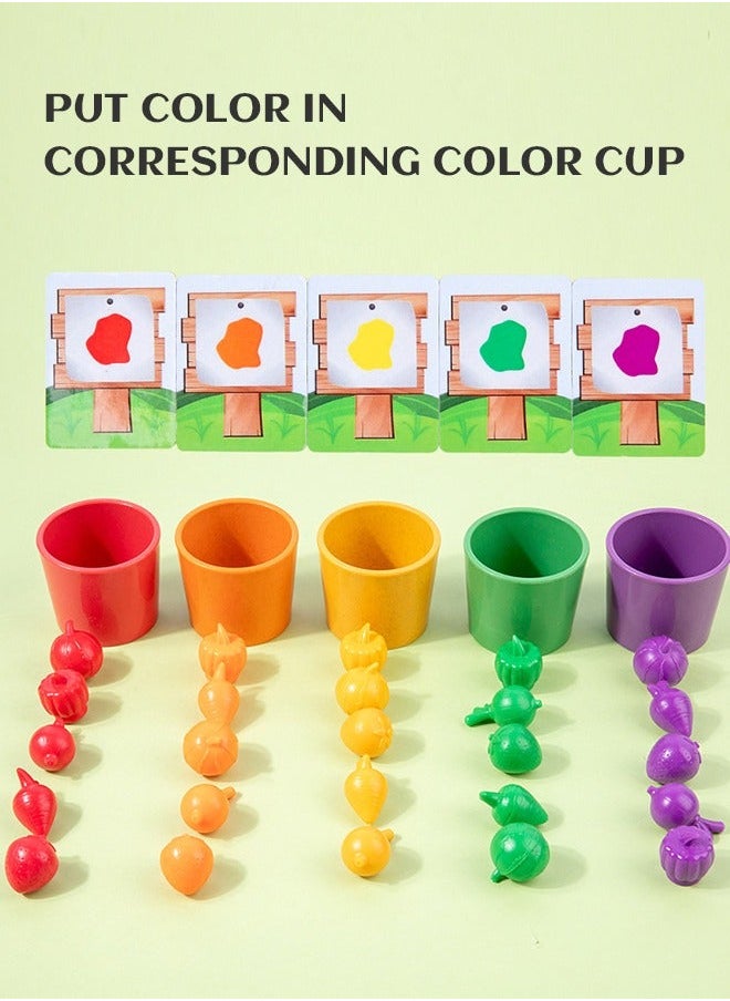 Fruits and Veggie Farm Sorting Set, Color Sorting, Food Game, Counting Toys for Kids