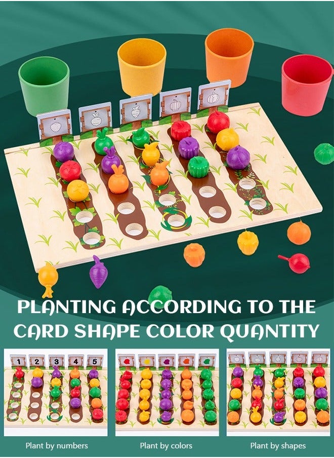 Fruits and Veggie Farm Sorting Set, Color Sorting, Food Game, Counting Toys for Kids