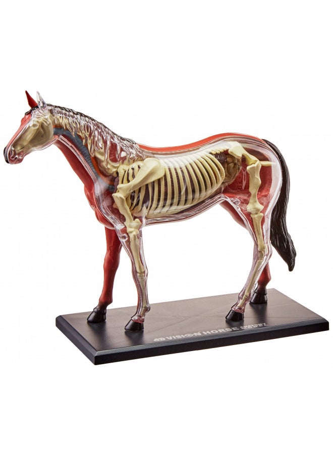 Tedco 4D Vision Horse Model