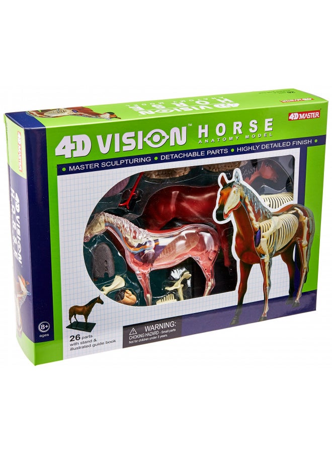 Tedco 4D Vision Horse Model