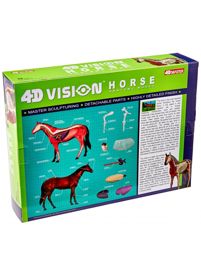 Tedco 4D Vision Horse Model