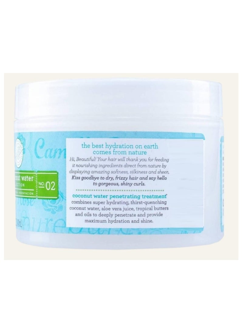 Maximum Hydration Coconut Water Penetrating Hair Treatment 240 ML