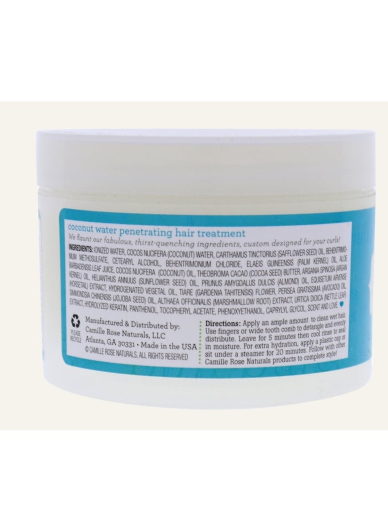 Maximum Hydration Coconut Water Penetrating Hair Treatment 240 ML