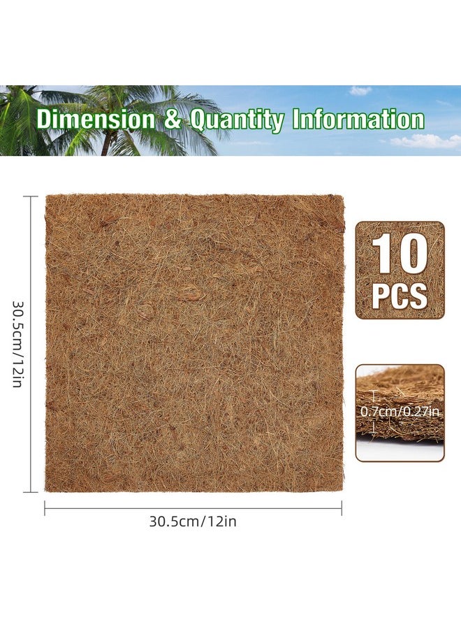 10 Pieces Reptile Carpet- 12 X 12 Inches Natural Coconut Fiber Pet Mat Tortoise Carpet Mat Coco Fiber Substrate Liner Pet Terrarium Liner For Lizard Turtle Snake Gecko Bearded Dragon