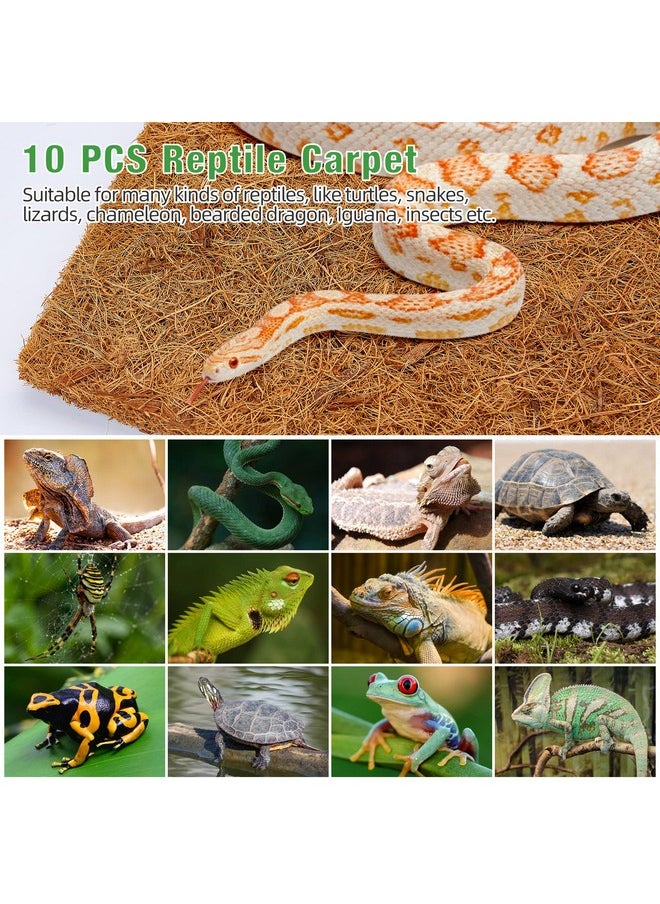 10 Pieces Reptile Carpet- 12 X 12 Inches Natural Coconut Fiber Pet Mat Tortoise Carpet Mat Coco Fiber Substrate Liner Pet Terrarium Liner For Lizard Turtle Snake Gecko Bearded Dragon