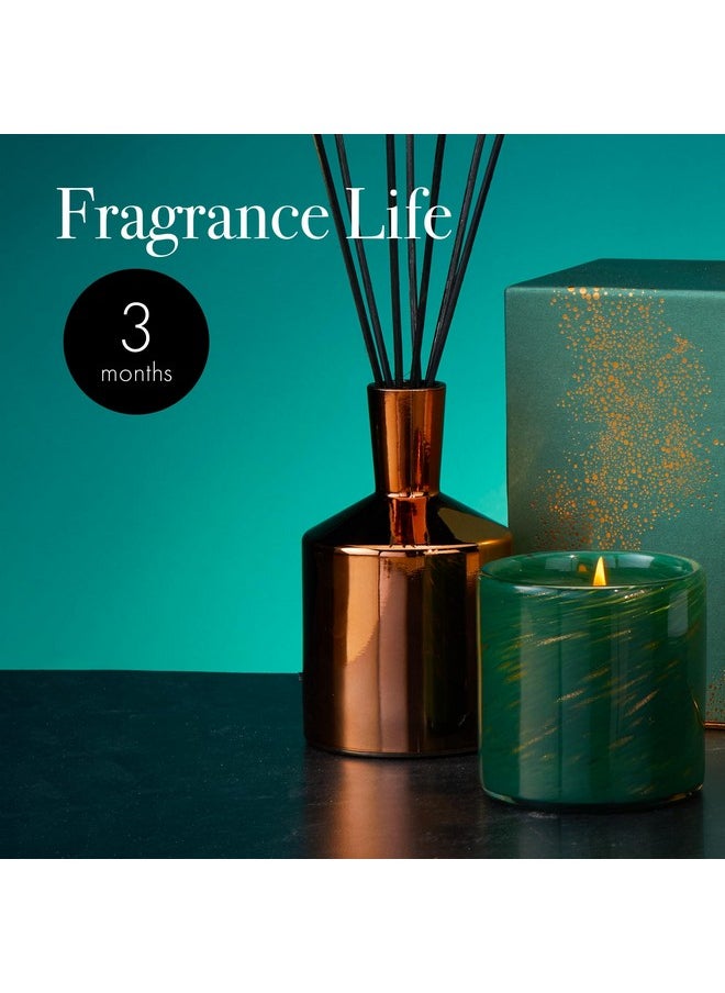Woodland Spruce Classic Candle & Diffuser 2024 Holiday Gift Set - Reusable Glass Vessels - Made In The Usa
