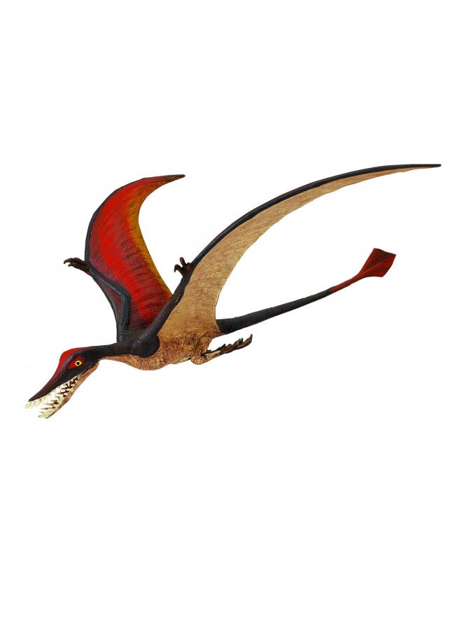 Safari Ltd. Rhamphorhynchus Figurine - Detailed 8